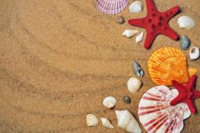 Nissi Elena - Seashell apartment